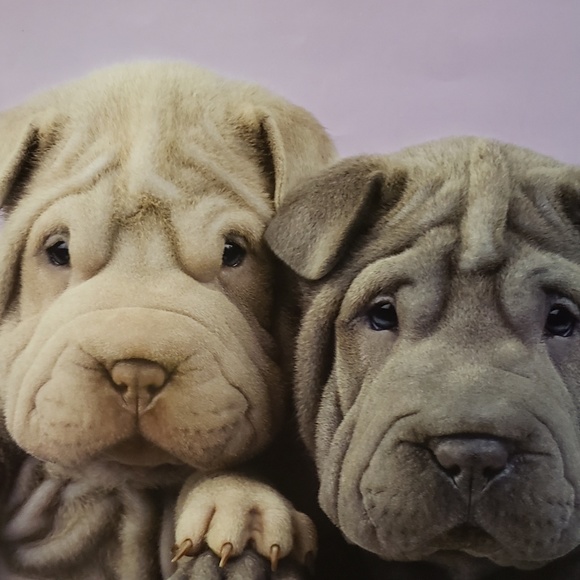 Meet your Posher, Beata - Picture 1 of 1